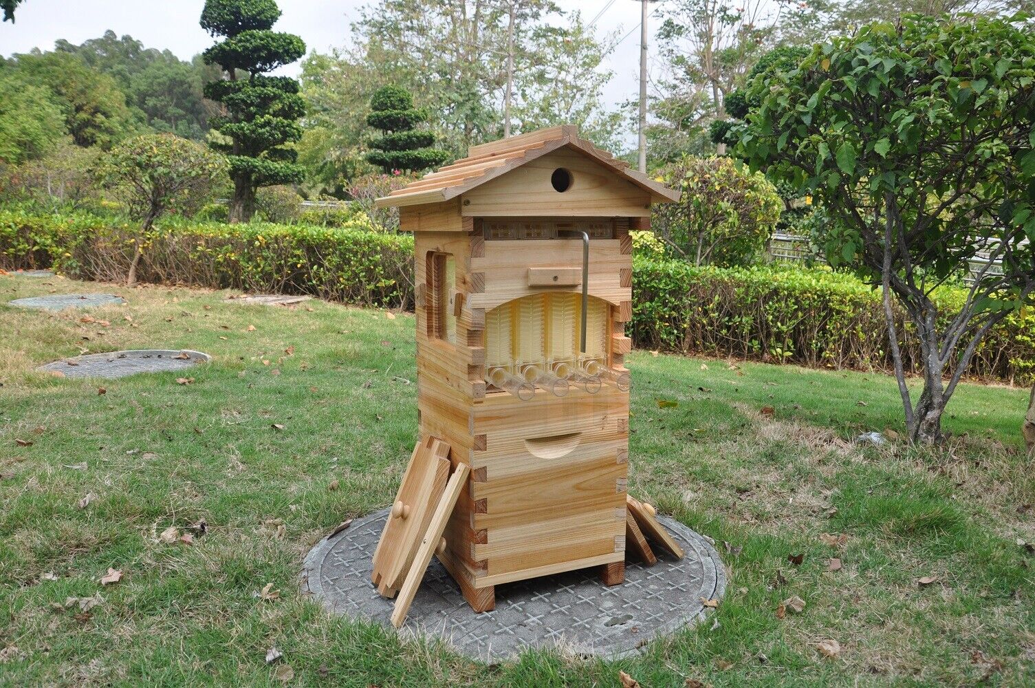 Full Set of 20 Bee Frames + 2 Honeycombs