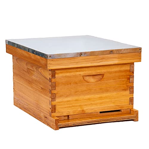 Beeswax-Coated 8 Frame Starter Kit with Beehive Tools