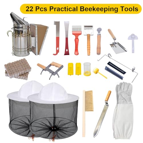 Complete Beekeeping Starter Kit with 10 Frame Hive