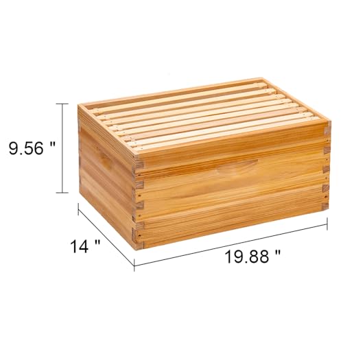 Beeswax-Coated 8 Frame Starter Kit with Beehive Tools