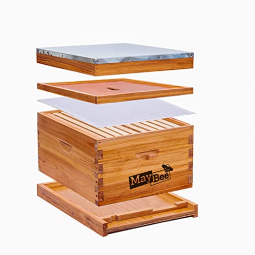 Complete Beekeeping Starter Kit with 10 Frame Hive