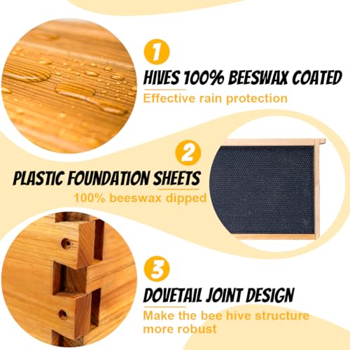 Beeswax-Coated 8 Frame Starter Kit with Beehive Tools