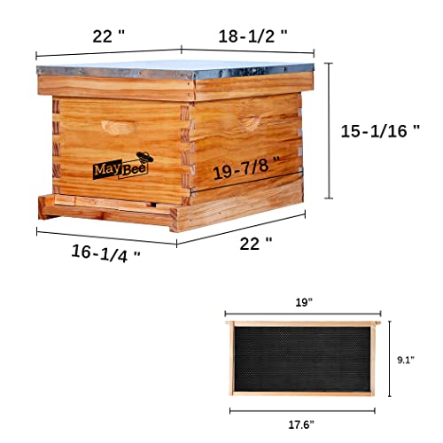 Complete Beekeeping Starter Kit with 10 Frame Hive