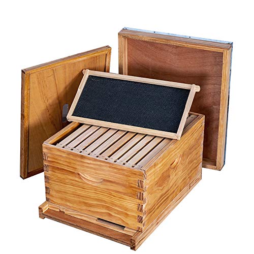 Complete Beekeeping Starter Kit with 10 Frame Hive