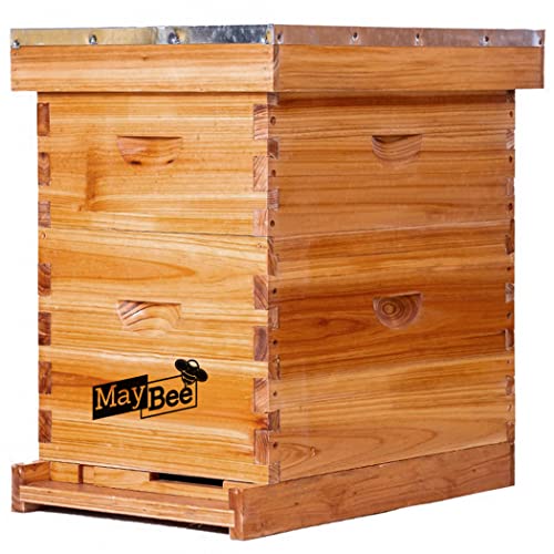MayBee Hives Starter Kit: 8 Frame Beehive Supplies
