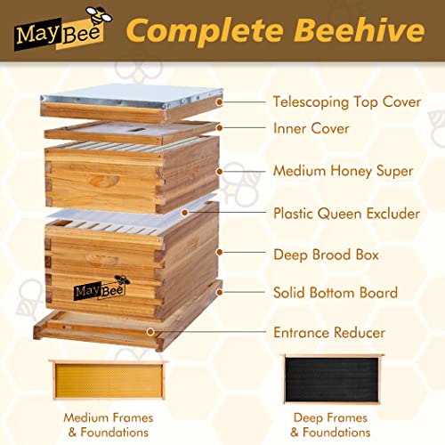 MayBee Hives Starter Kit: 8 Frame Beehive Supplies