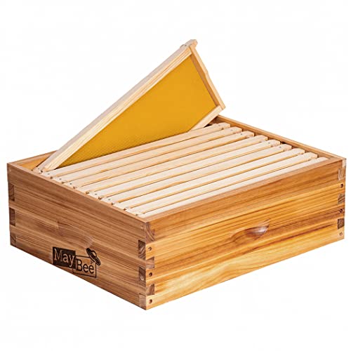10-Frame Langstroth Bee Box with Wooden Frames & Waxed Foundations