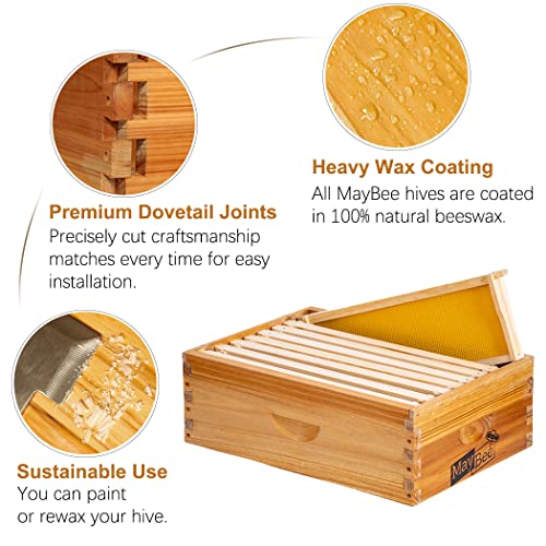 10-Frame Langstroth Bee Box with Wooden Frames & Waxed Foundations