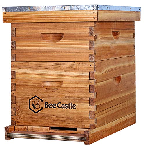 BeeCastle Complete Beehive Kit with Beeswax Coated Frames