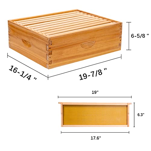 10-Frame Langstroth Bee Box with Wooden Frames & Waxed Foundations