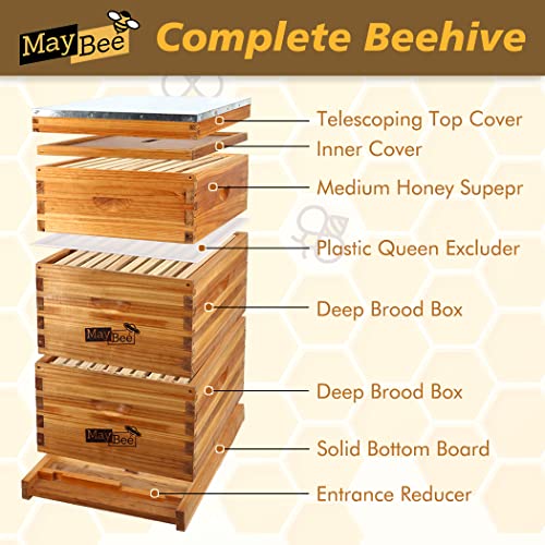 Langstroth 10-Frame Beehive Starter Kit with 100% Beeswax Coating