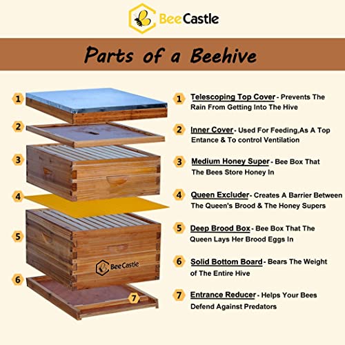 BeeCastle Complete Beehive Kit with Beeswax Coated Frames