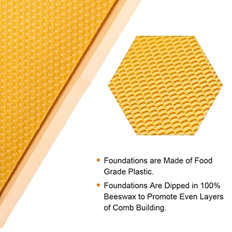 10-Frame Langstroth Bee Box with Wooden Frames & Waxed Foundations