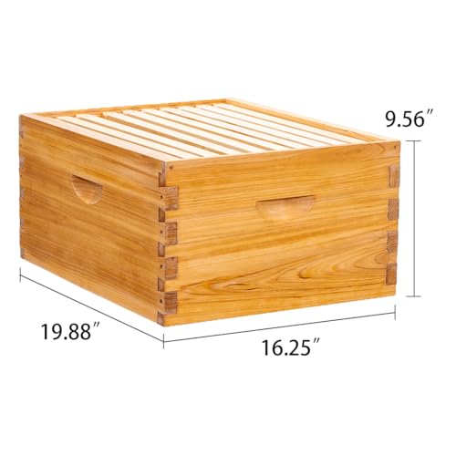 10 Frame Beehive Box with Frames and Foundations