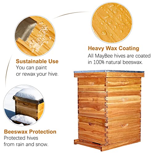 Langstroth 10-Frame Beehive Starter Kit with 100% Beeswax Coating