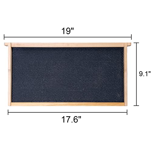 10 Frame Beehive Box with Frames and Foundations