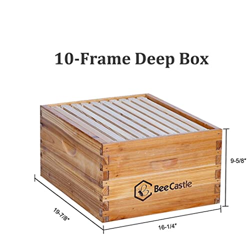 BeeCastle Complete Beehive Kit with Beeswax Coated Frames