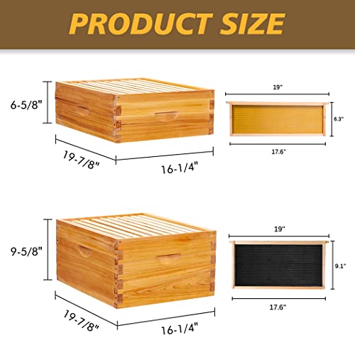 Langstroth 10-Frame Beehive Starter Kit with 100% Beeswax Coating