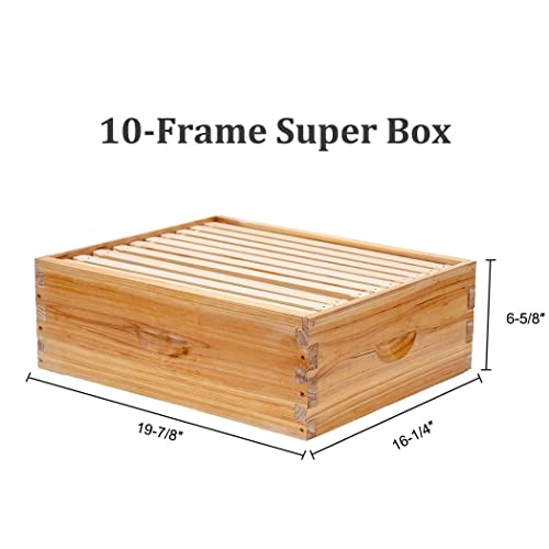 BeeCastle Complete Beehive Kit with Beeswax Coated Frames