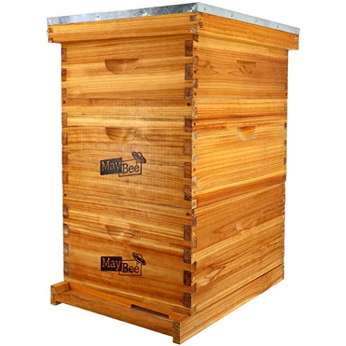 Langstroth 10-Frame Beehive Starter Kit with 100% Beeswax Coating