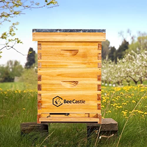 BeeCastle Complete Beehive Kit with Beeswax Coated Frames