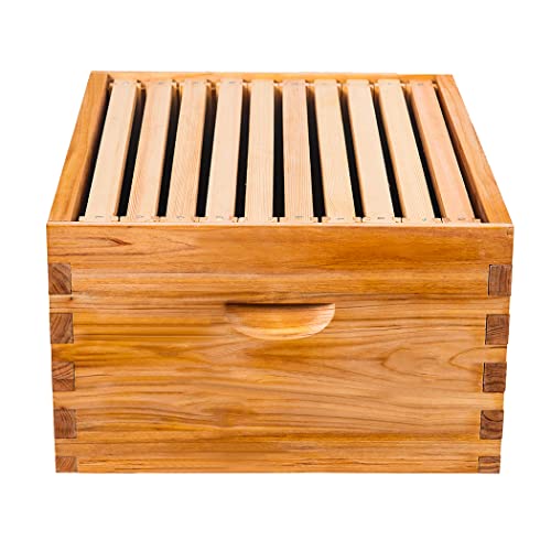 10 Frame Beehive Box with Frames and Foundations