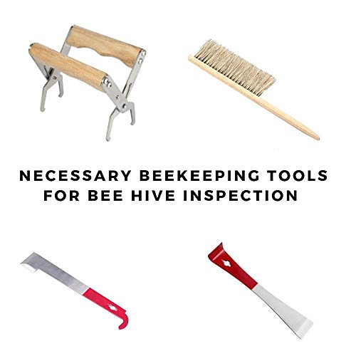 9-Piece Beekeeping Tools and Supplies Kit