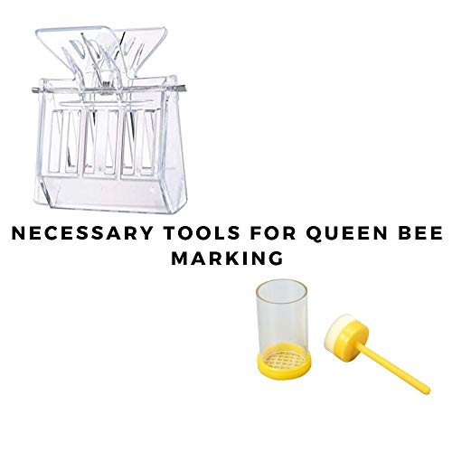 9-Piece Beekeeping Tools and Supplies Kit