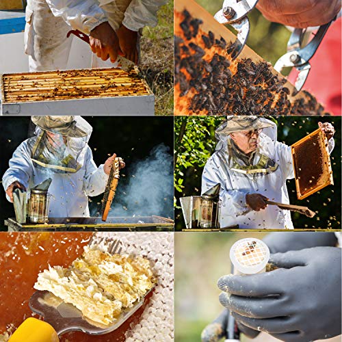17-Piece Beekeeping Starter Kit by Blisstime