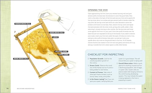 Beginner's Guide to Starting Your First Backyard Hive