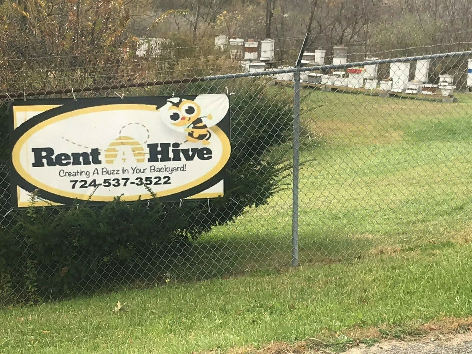 Professional Honey Bee Swarm Lure for Effective Catching