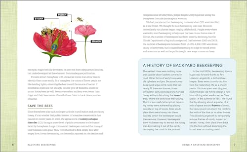 Beginner's Guide to Starting Your First Backyard Hive