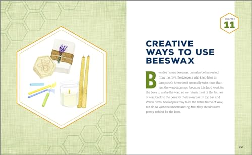 Beginner's Guide to Starting Your First Backyard Hive