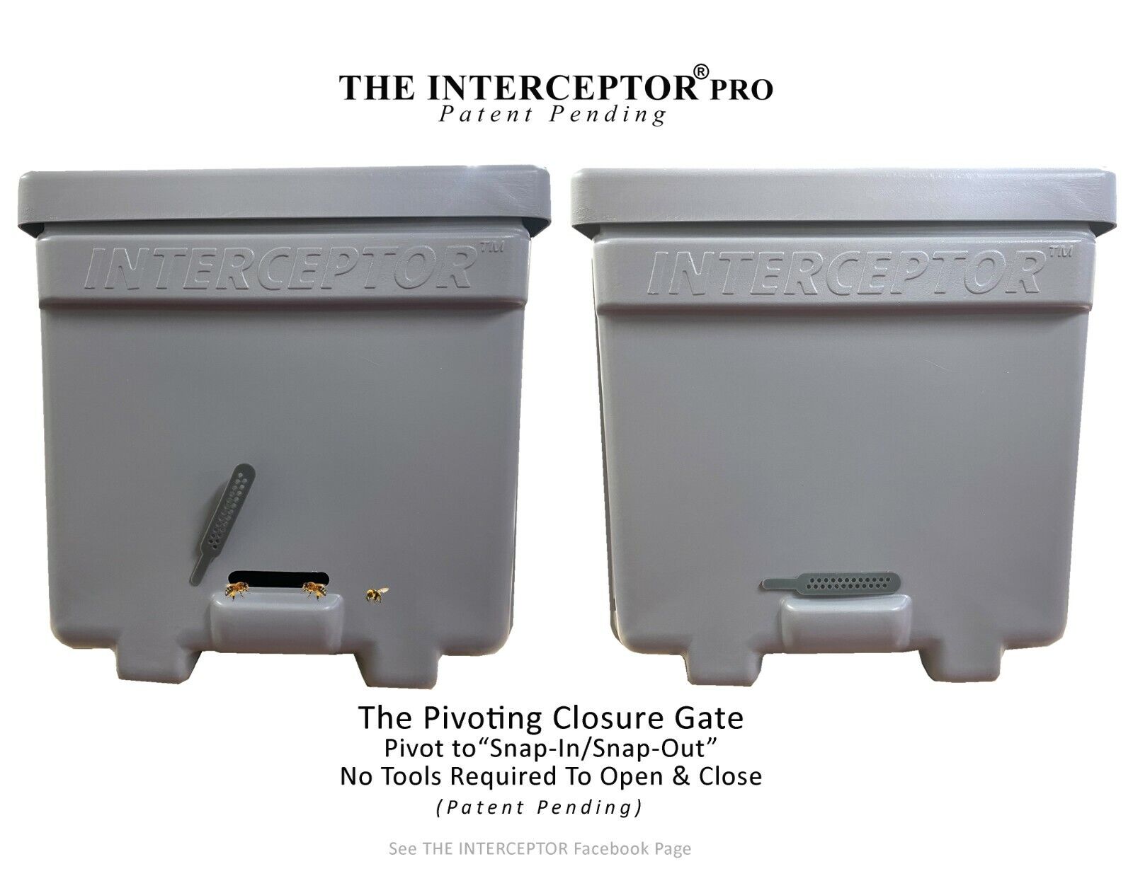 Honeybee Swarm Trap - The Interceptor Pro - Hive