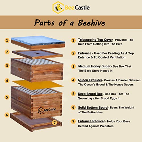 BeeCastle 8 Frame Langstroth Hive with Beeswax Coat