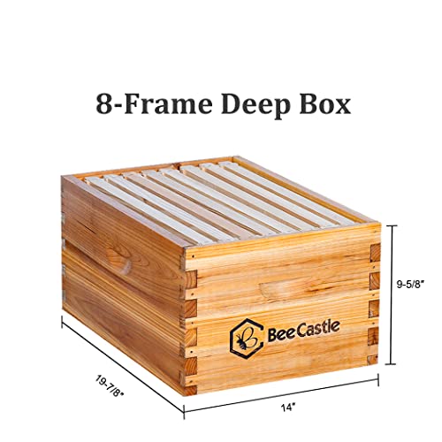 BeeCastle 8 Frame Langstroth Hive with Beeswax Coat