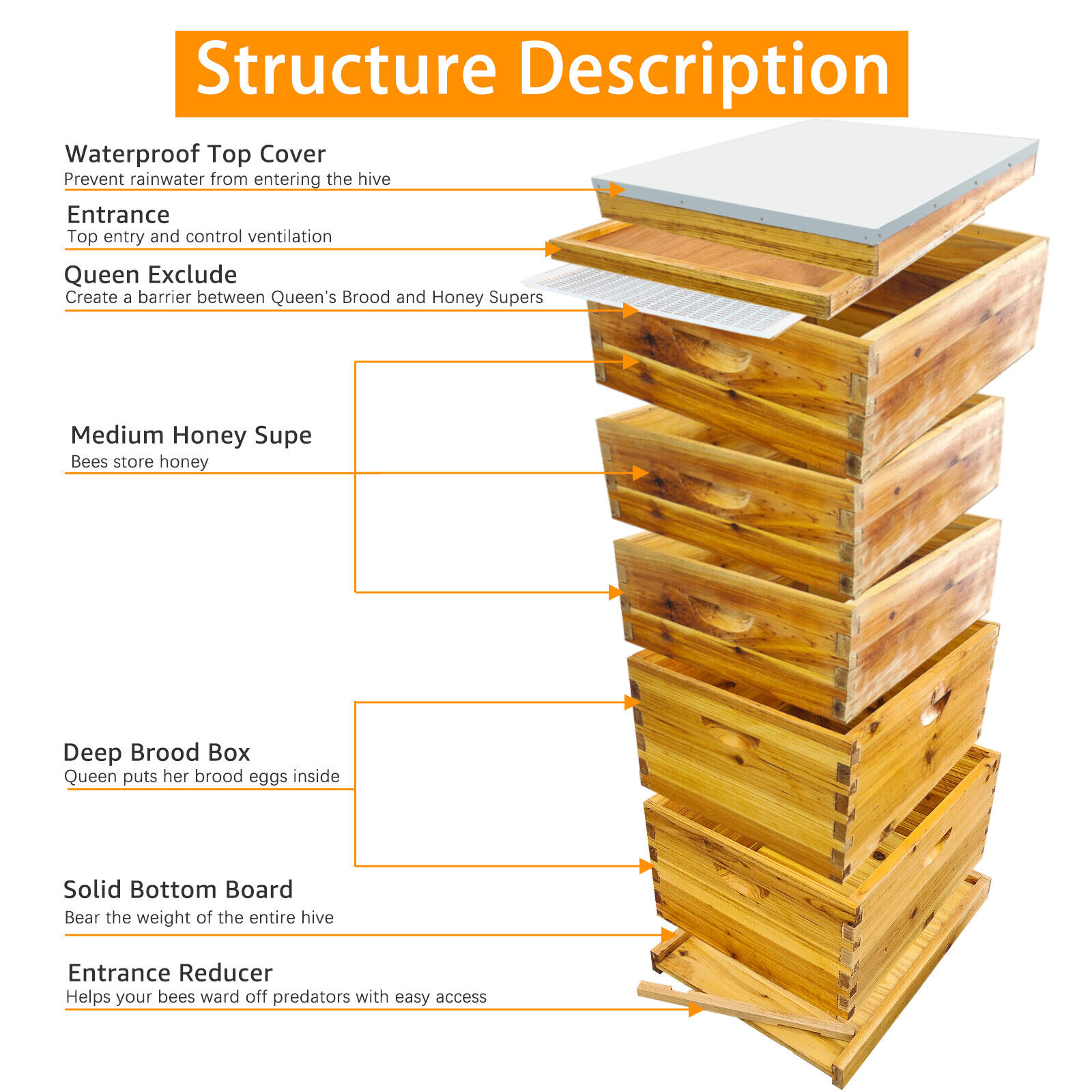 Langstroth 10 Frames Beehive for Beekeeping 5 Boxes