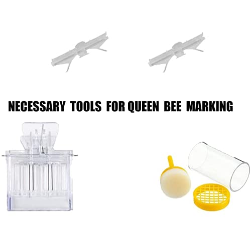 Beekeeping Tools Kit with 22PCS - Ideal for Beginners and Pros
