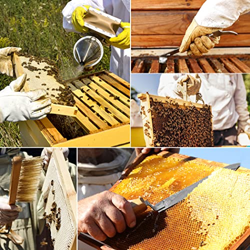 Beekeeping Tools Kit with 22PCS - Ideal for Beginners and Pros