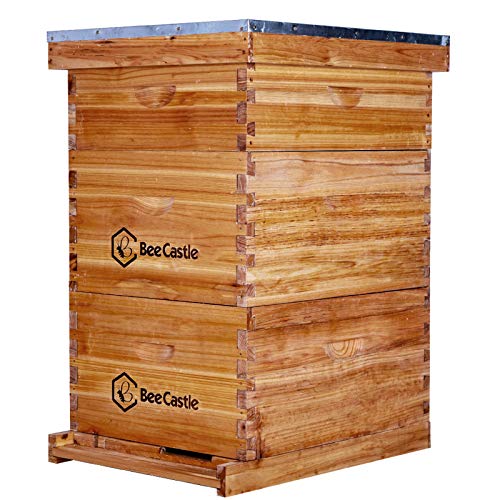10 Frame BeeCastle Langstroth Beehive Coated with Beeswax