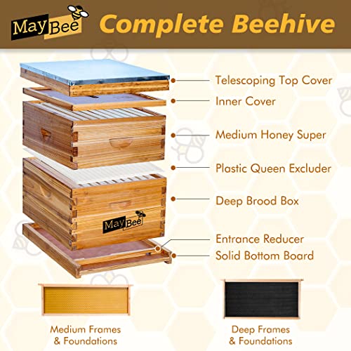 10 Frame Bee Hive Starter Kit with Supplies