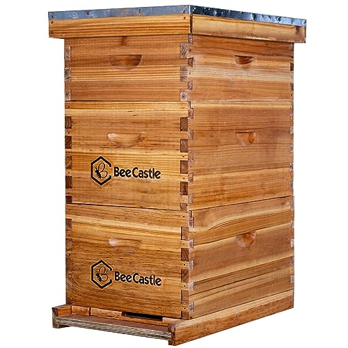 BeeCastle 8 Frame Langstroth Bee Hive with Beeswax