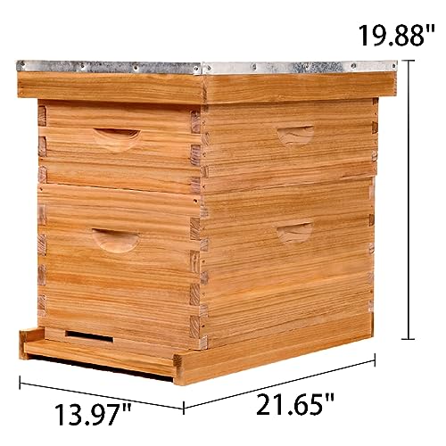 Beekeeper Starter Kit: 8 Frame Bee Hive, 2 Layers