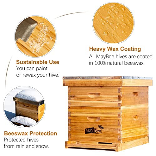 10 Frame Bee Hive Starter Kit with Supplies