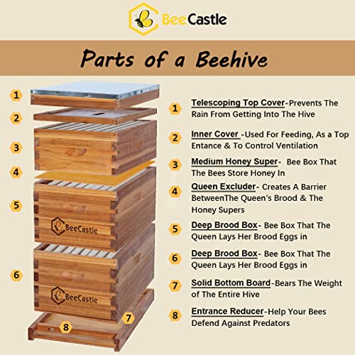 BeeCastle 8 Frame Langstroth Bee Hive with Beeswax