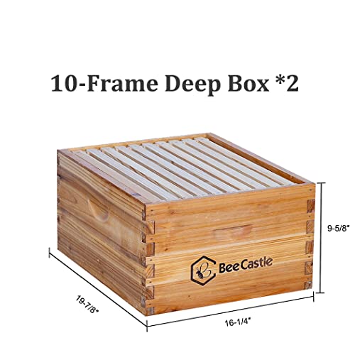 10 Frame BeeCastle Langstroth Beehive Coated with Beeswax