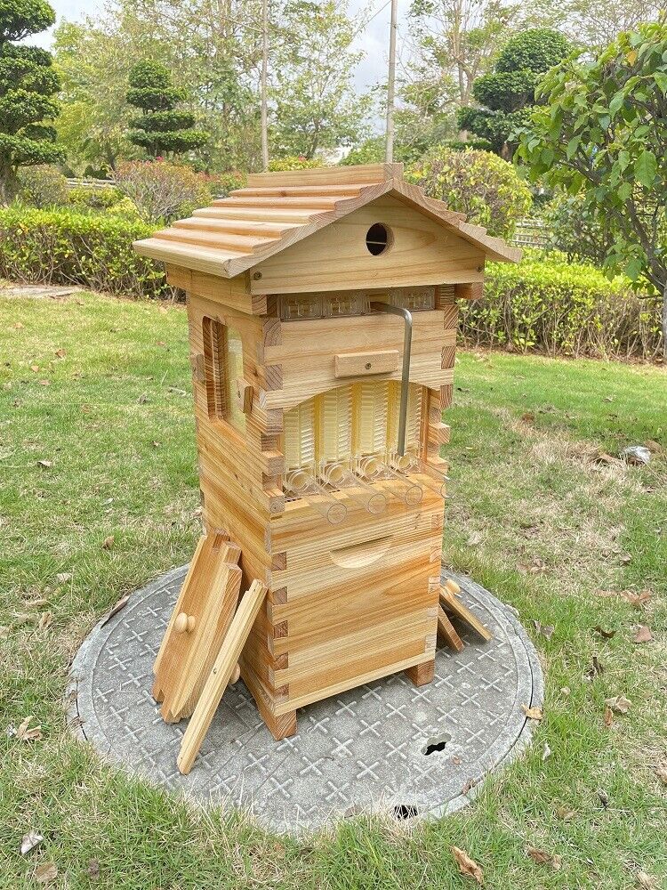 10Pcs Hive Frames + Cedarwood Beehive Box