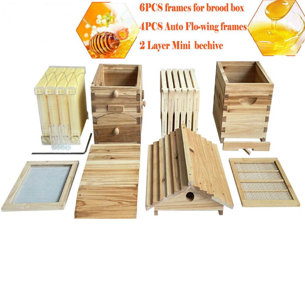 10Pcs Hive Frames + Cedarwood Beehive Box