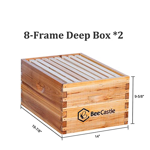 BeeCastle 8 Frame Langstroth Bee Hive with Beeswax