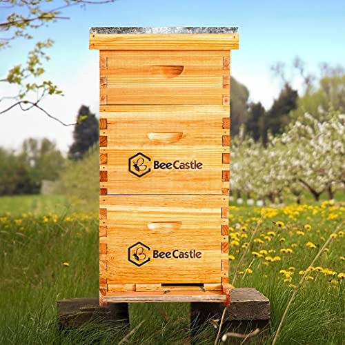 10 Frame BeeCastle Langstroth Beehive Coated with Beeswax
